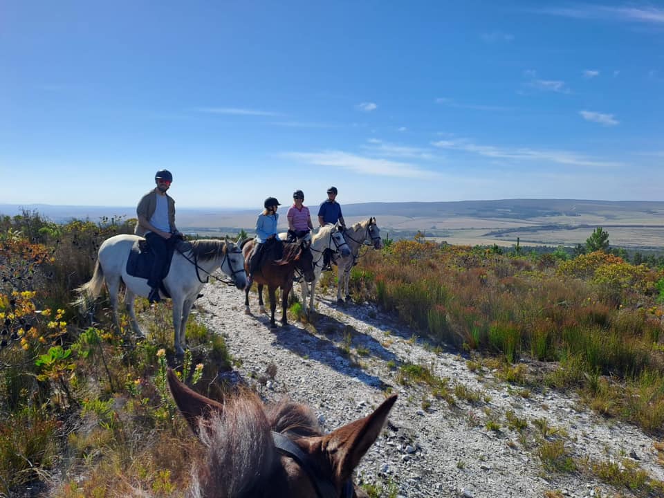 Horse Riding