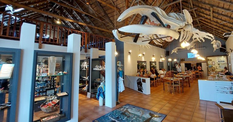marine-dynamics-home-your-experience-begins-great-white-house-interior-768x403 marine-dynamics-home-your-experience-begins-great-white-house-interior-768x403