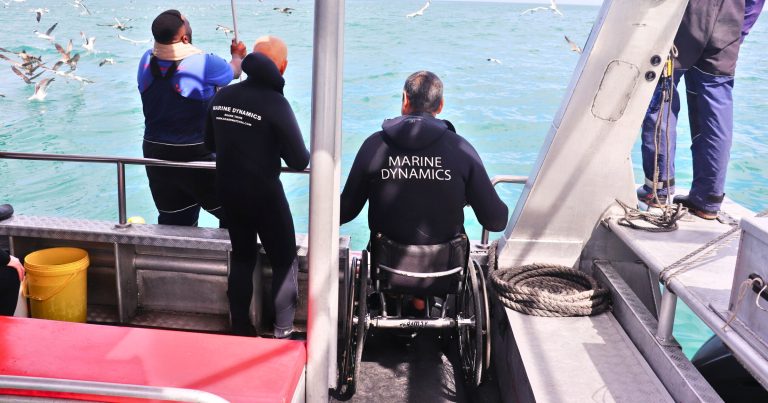 marine-dynamics-shark-cage-diving-beyond-shark-cage-diving-wheelchair-friendly-shark-cage-diving-1-768x403 marine-dynamics-shark-cage-diving-beyond-shark-cage-diving-wheelchair-friendly-shark-cage-diving-1-768x403